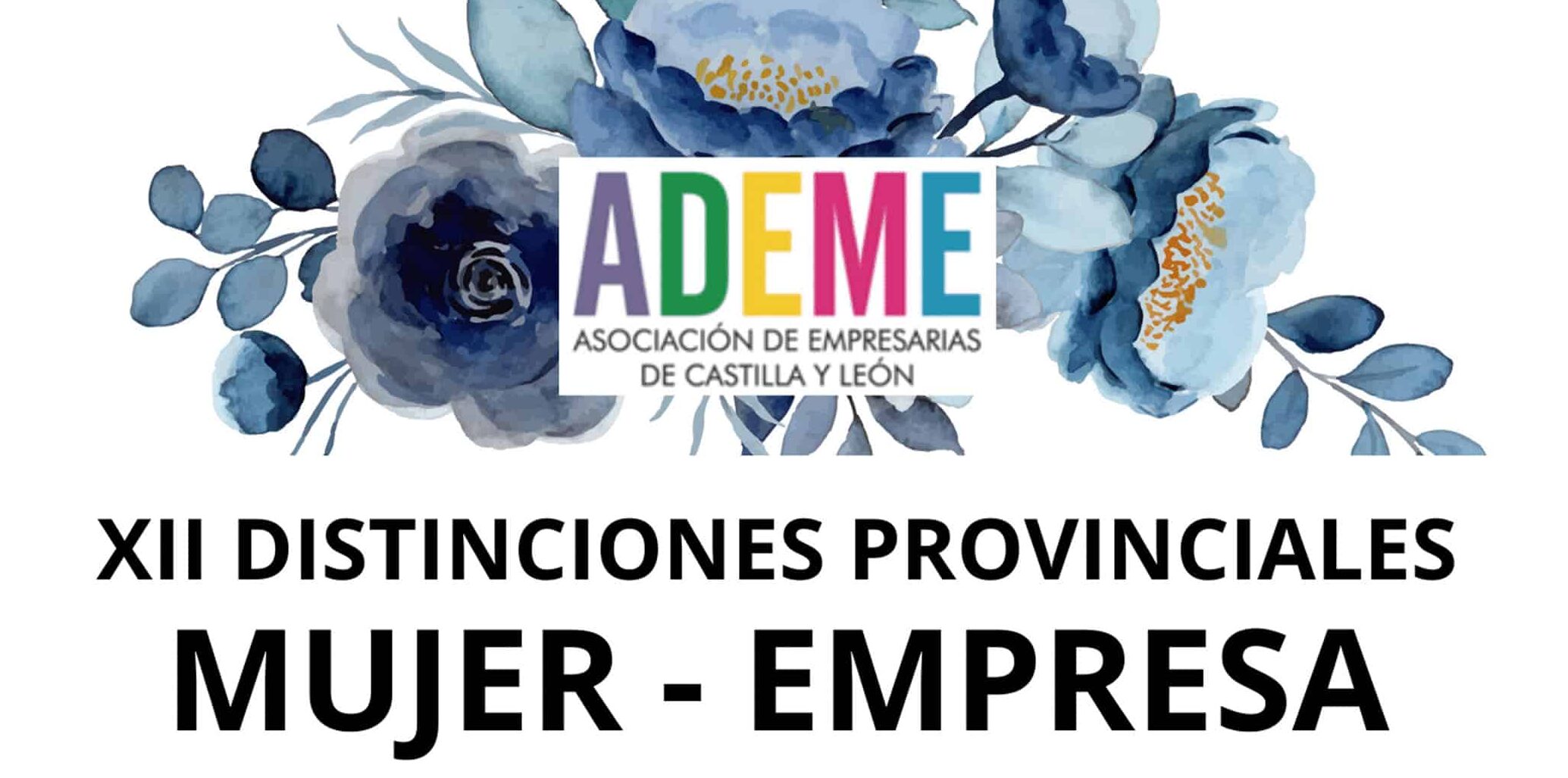 XII DISTINCIONES PROVINCIALES ADEME MUJER EMPRESA