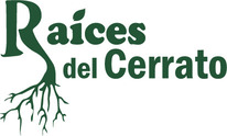 Raíces del cerrato